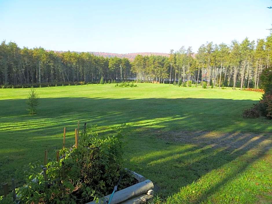 La maison sous les arbres