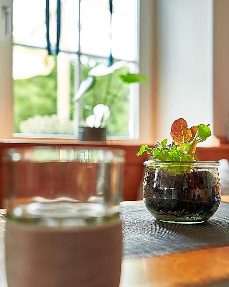 Hotel Kornblume