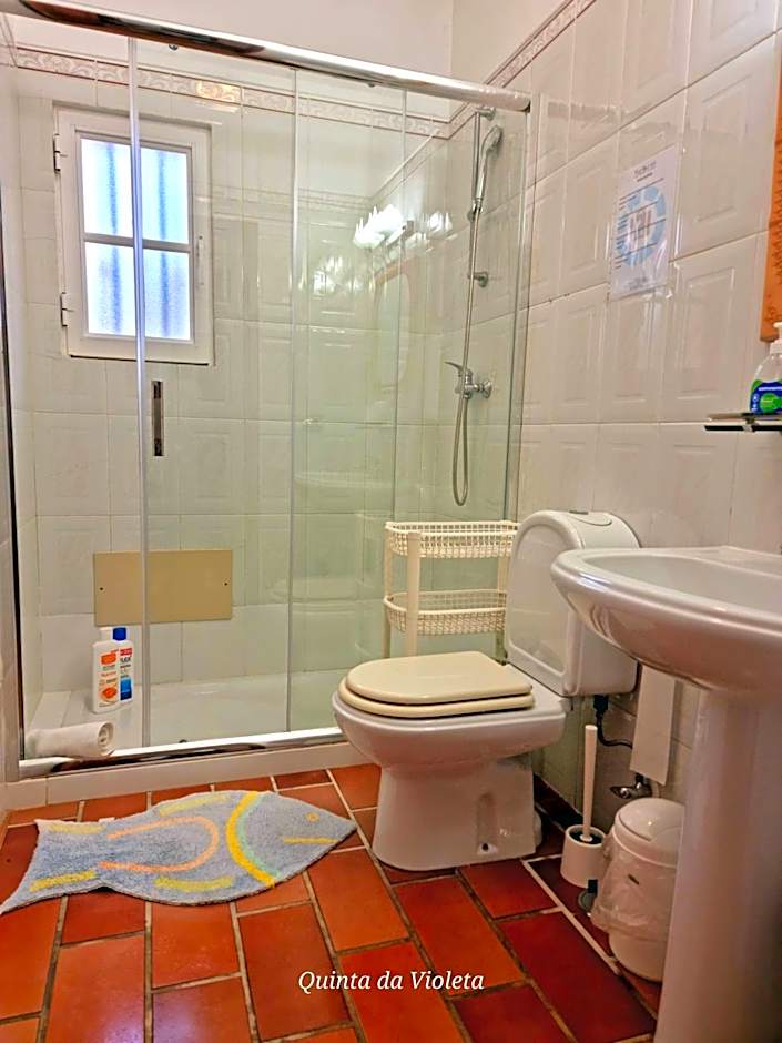 Villa Quinta da Violeta