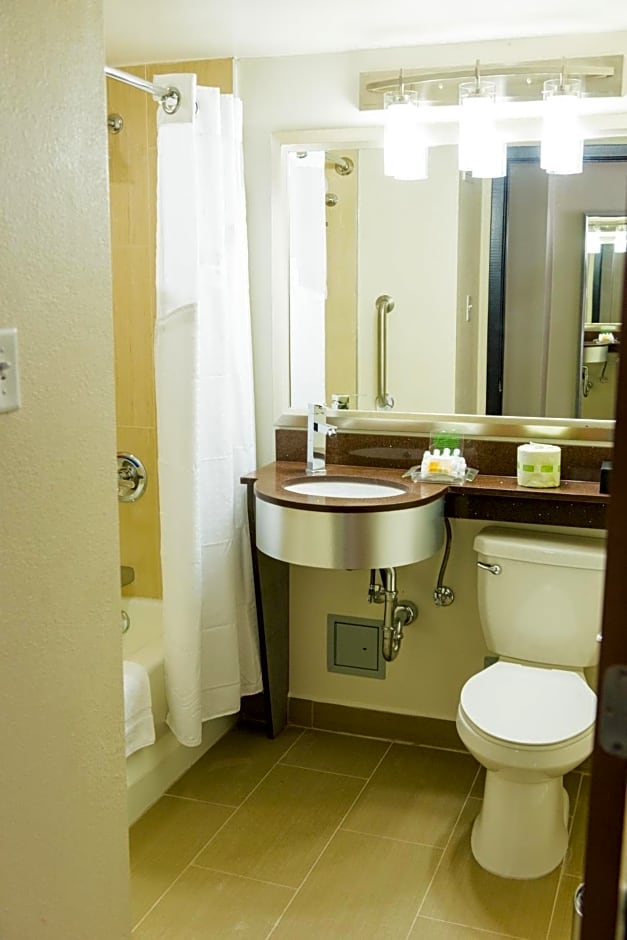 Holiday Inn Houston Downtown By IHG