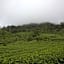 Hotel Grand Plaza Munnar