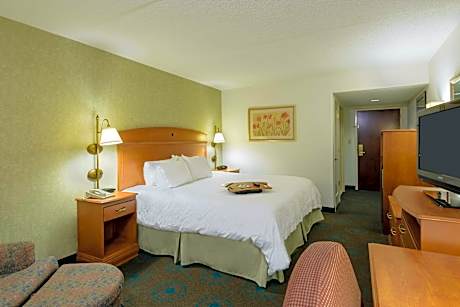 1 King Bed Nonsmoking