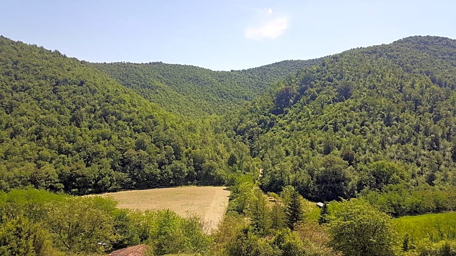 Locanda Di Alberi