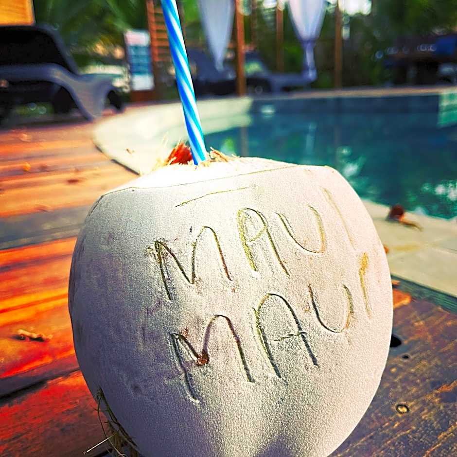 Maui Maui Wellness- Taipu de Fora - Barra Grande