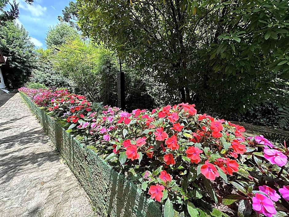 Apartamento no centrinho para a família