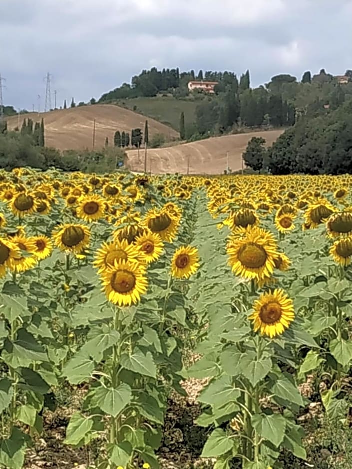 B & B CUORE TOSCANO