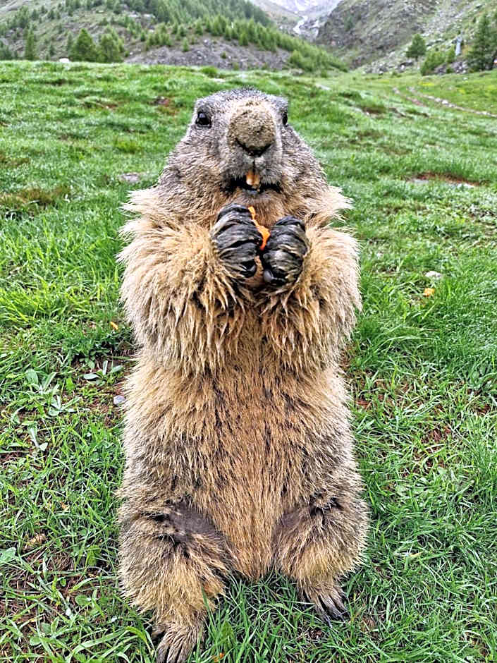 Self-Service Guesthouse Berggeist