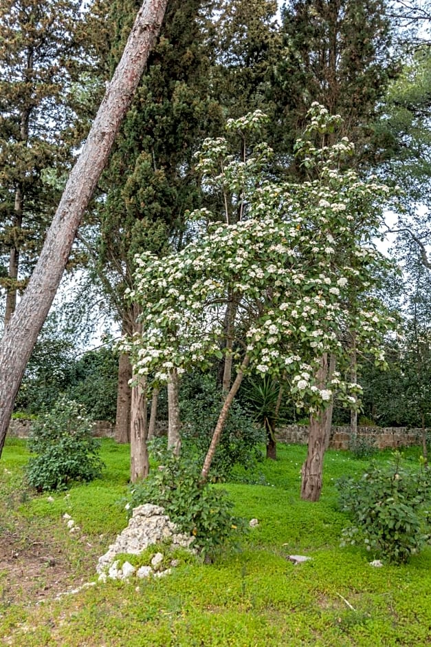 Villa Giulio B&B DImora Storica