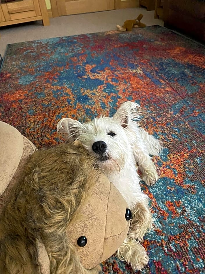 Jacquie's B&B -Dumfries-Room with a view