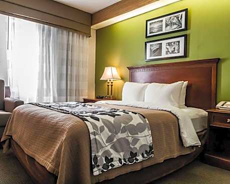 1 Queen Bed Mobility Accessible Room Roll-In Shower Non-Smoking