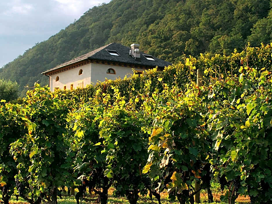 Locanda L'Amorosa