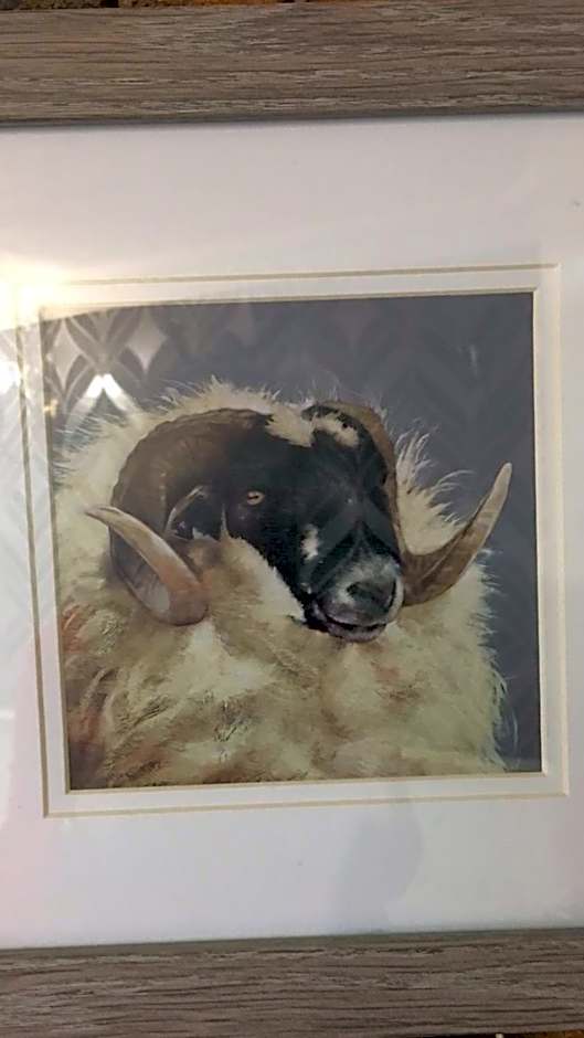 Highfield Guesthouse