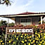 Khao Kho Flora