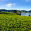 B&B Ferienhof am See