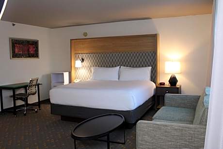 1 King Bed Deluxe Room Non-Smoking