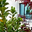Blue Star Luxury Hotel