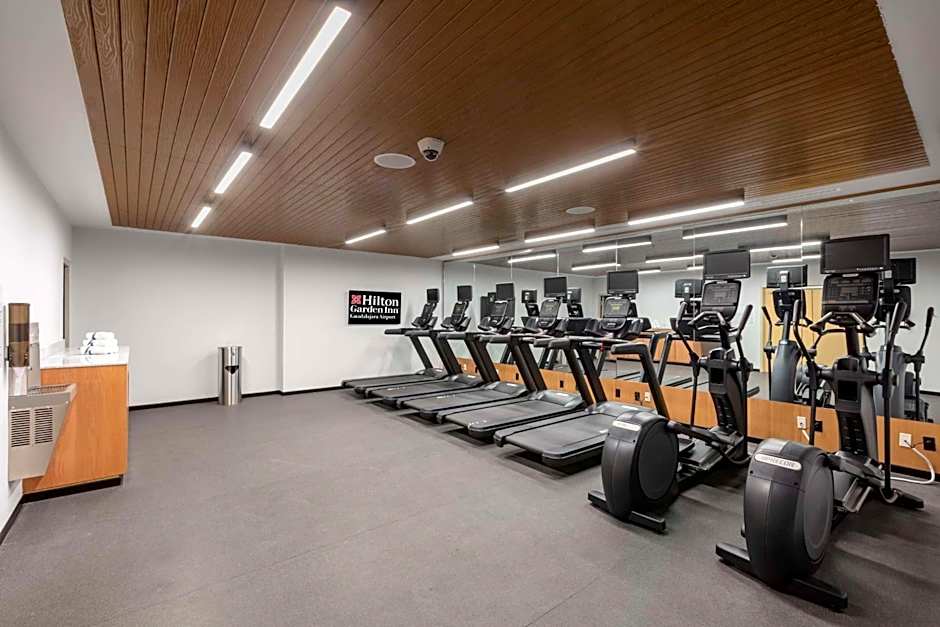 Hilton Garden Inn Guadalajara Airport