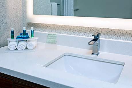 1 King Standard Mobil Access Roll Shower