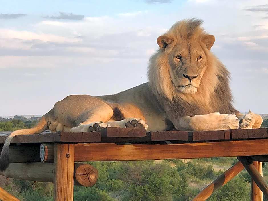 Weltevreden Game Lodge