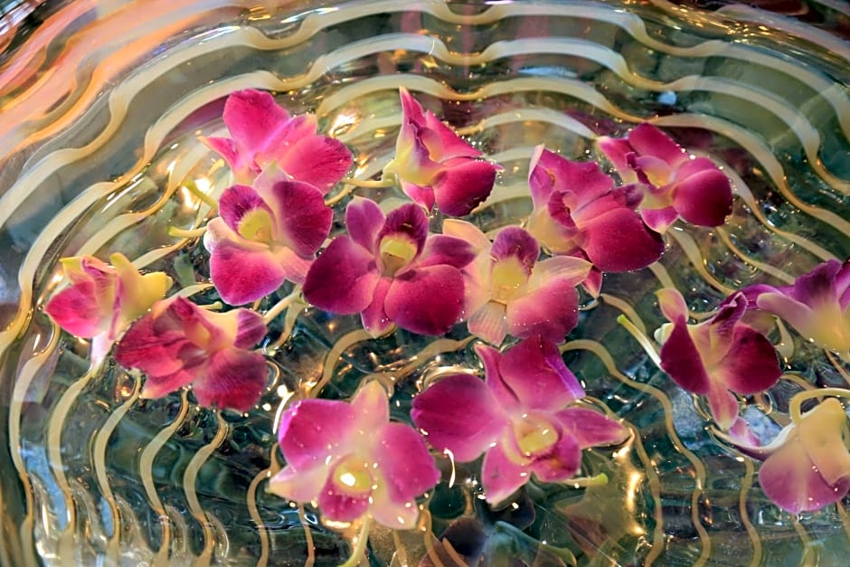 Sky Cuculu Ishigakijima