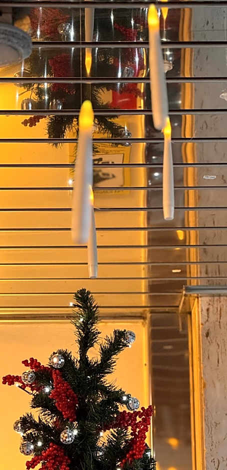 Hotel Zaragoza Plaza