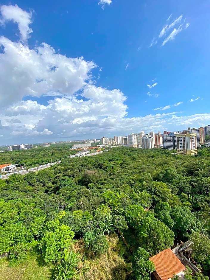 (903) Studio exclusivo e clima tropical