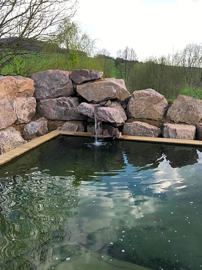 Les nuits insolites de la mothe - hébergement en bulle ou tiny house avec spa privatif