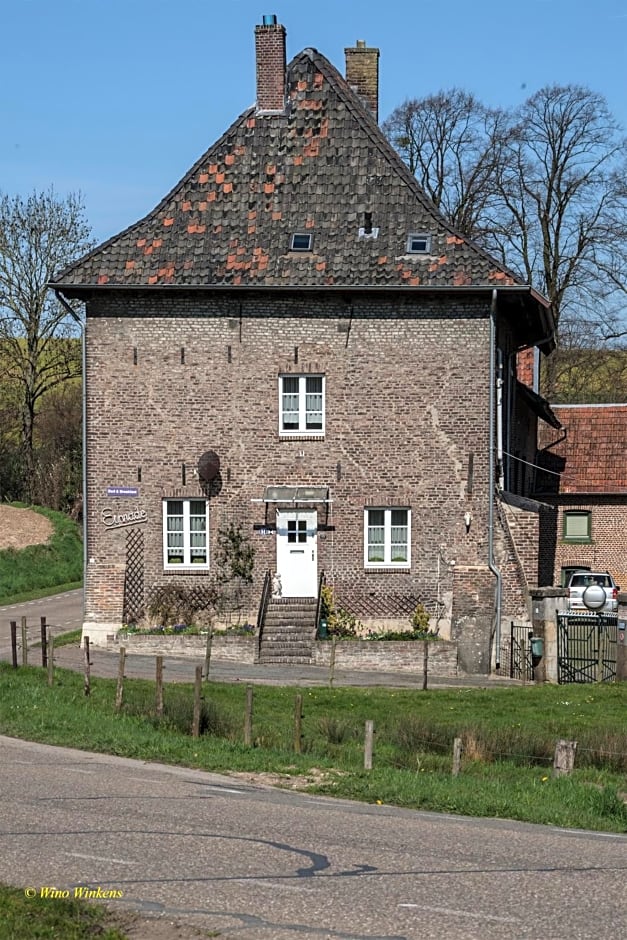 main