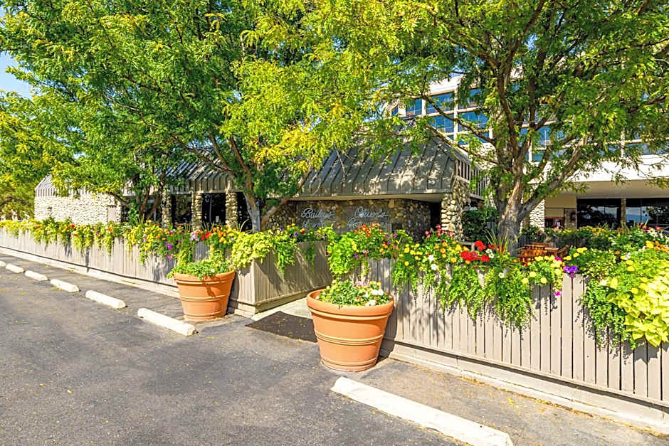 Grand Vista Hotel-Grand Junction