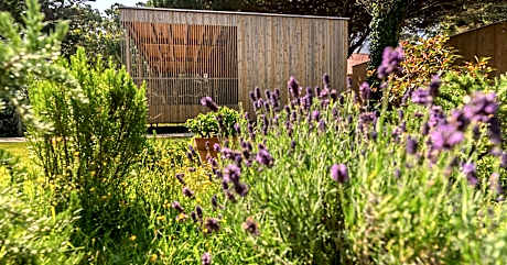 Bungalow - Beach Front