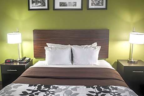 Queen Room - Accessible/Nonsmoking