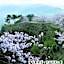 Pure Hotel - Vacation STAY 44177v