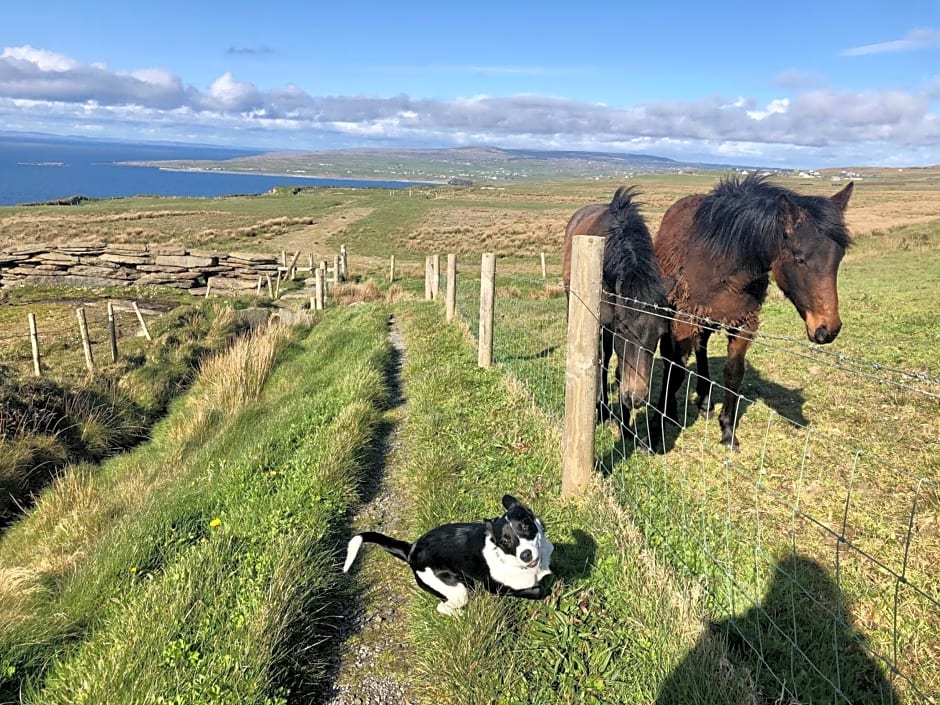 Ocean View Guestrooms