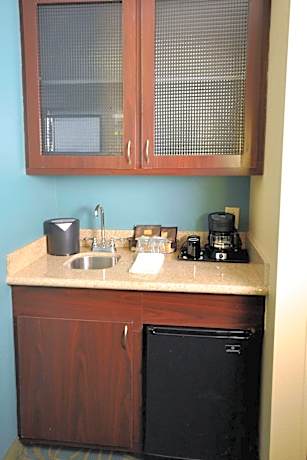 Studio, 1 King, Sofa bed, Moody Gardens view, Bay view