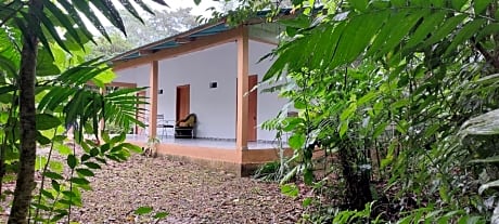 Cabaña Sak Ja Selva Lacandona