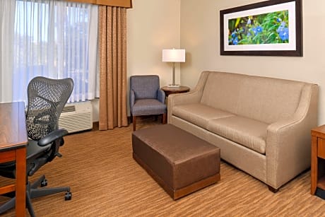1 King Deluxe With Sofabed Whirlpool