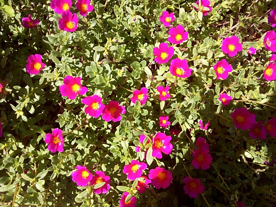 Rest. e Pousada Fabiao II