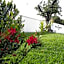 villa natia