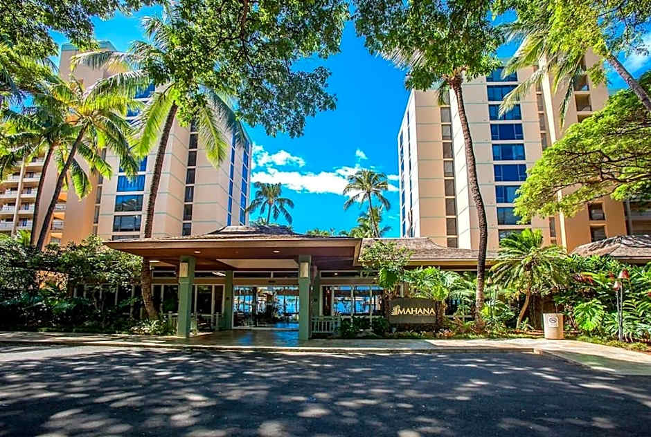 Mahana 316