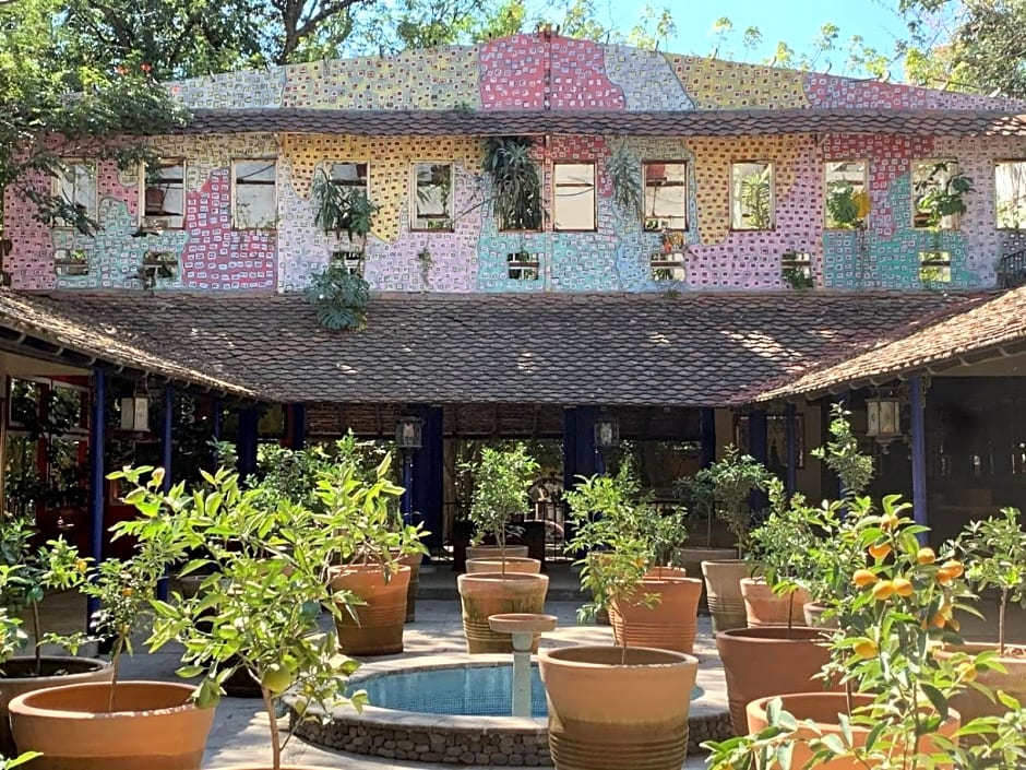 Hotel La Casa de los Árboles Immersive Experience