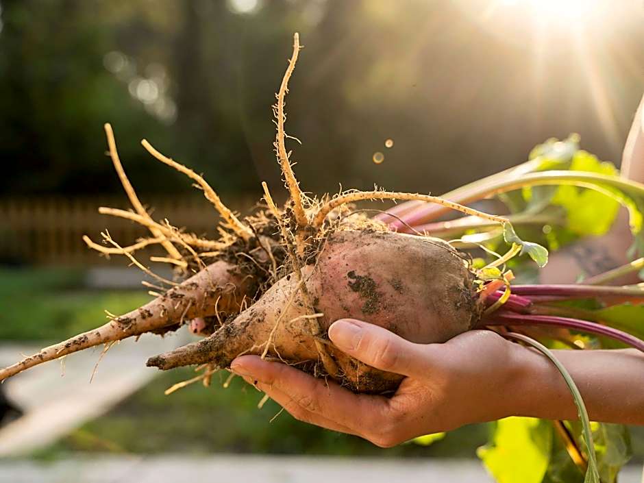 BreakFree Cosmopolitan Surfers Paradise
