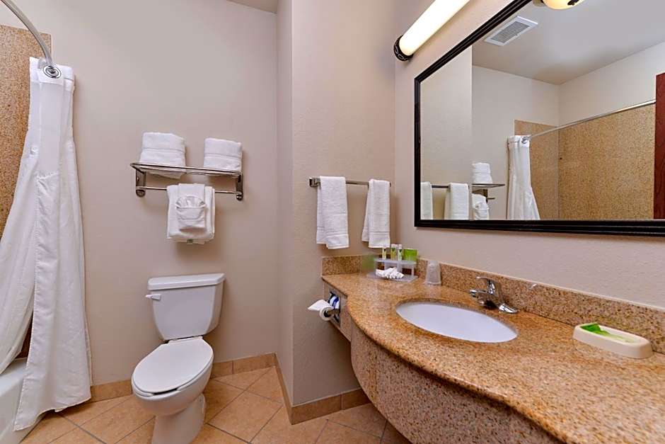 Holiday Inn Express Hotel & Suites Sherman Highway 75 By IHG