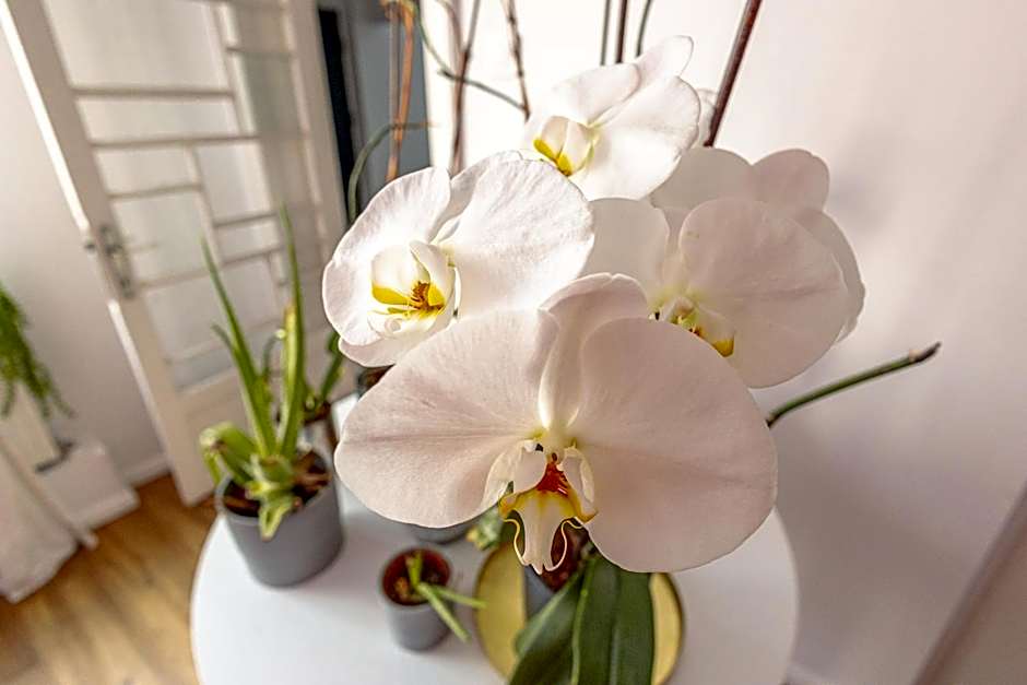 First Hostel Bucur 21