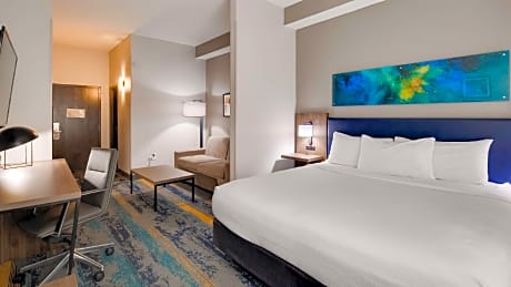 Studio Suite - 1 King Bed, Non-Smoking, Corner Room, Living Room, Sofabed, Work Desk, Microwave And 