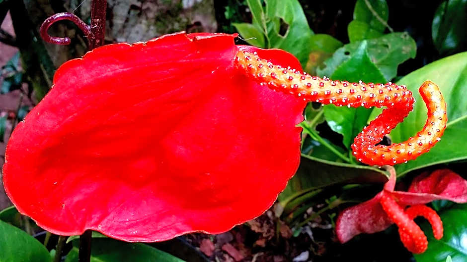 La Maison des Hôtes