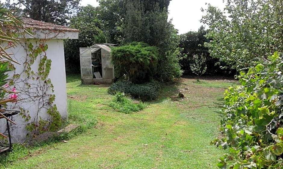 Poderi di Tragliatella