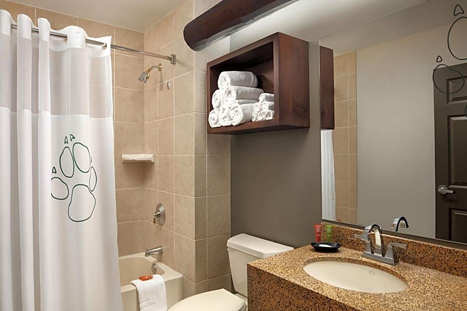 Great Wolf Lodge - Cincinatti / Mason OH