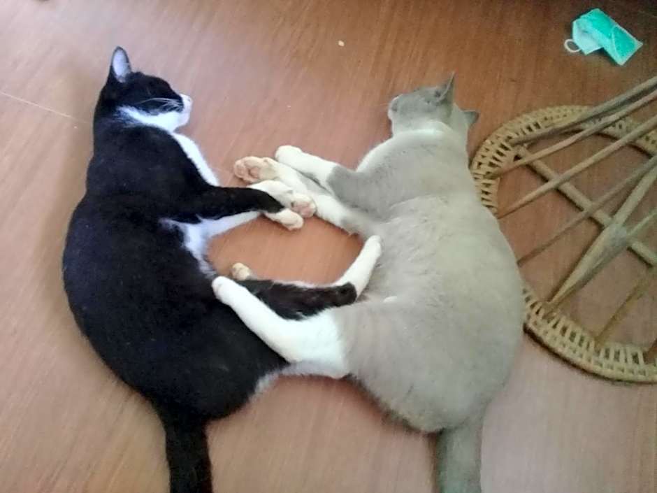 Baan Suan Jantra Home Stay