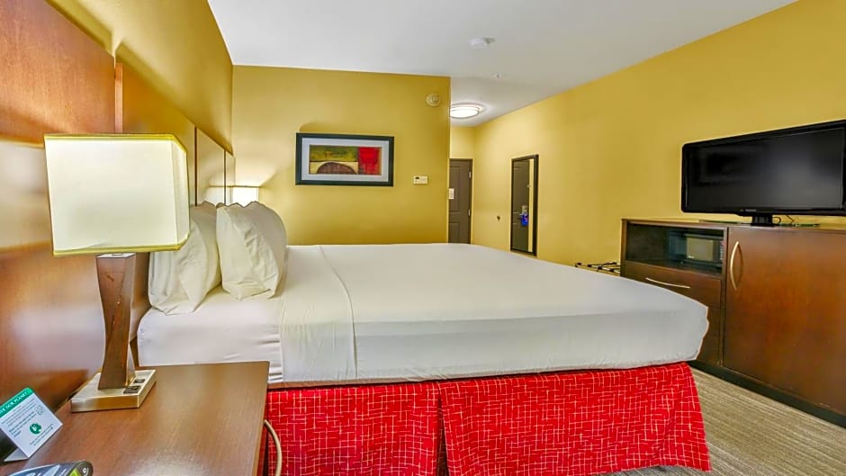 Holiday Inn Express & Suites Houston South - Near Pearland, an IHG Hotel