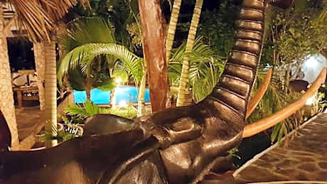 Boutique Hotel Nyumbani Tembo